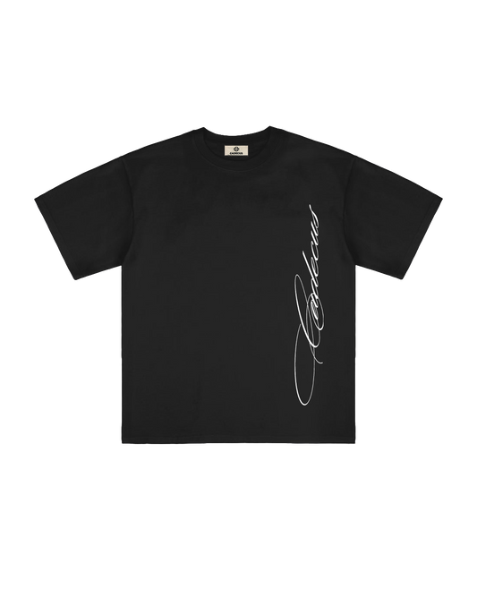 ✤ BOX Tee Oversize